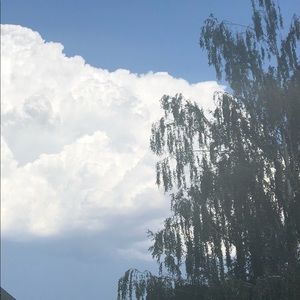 Meet your Posher, Jennie